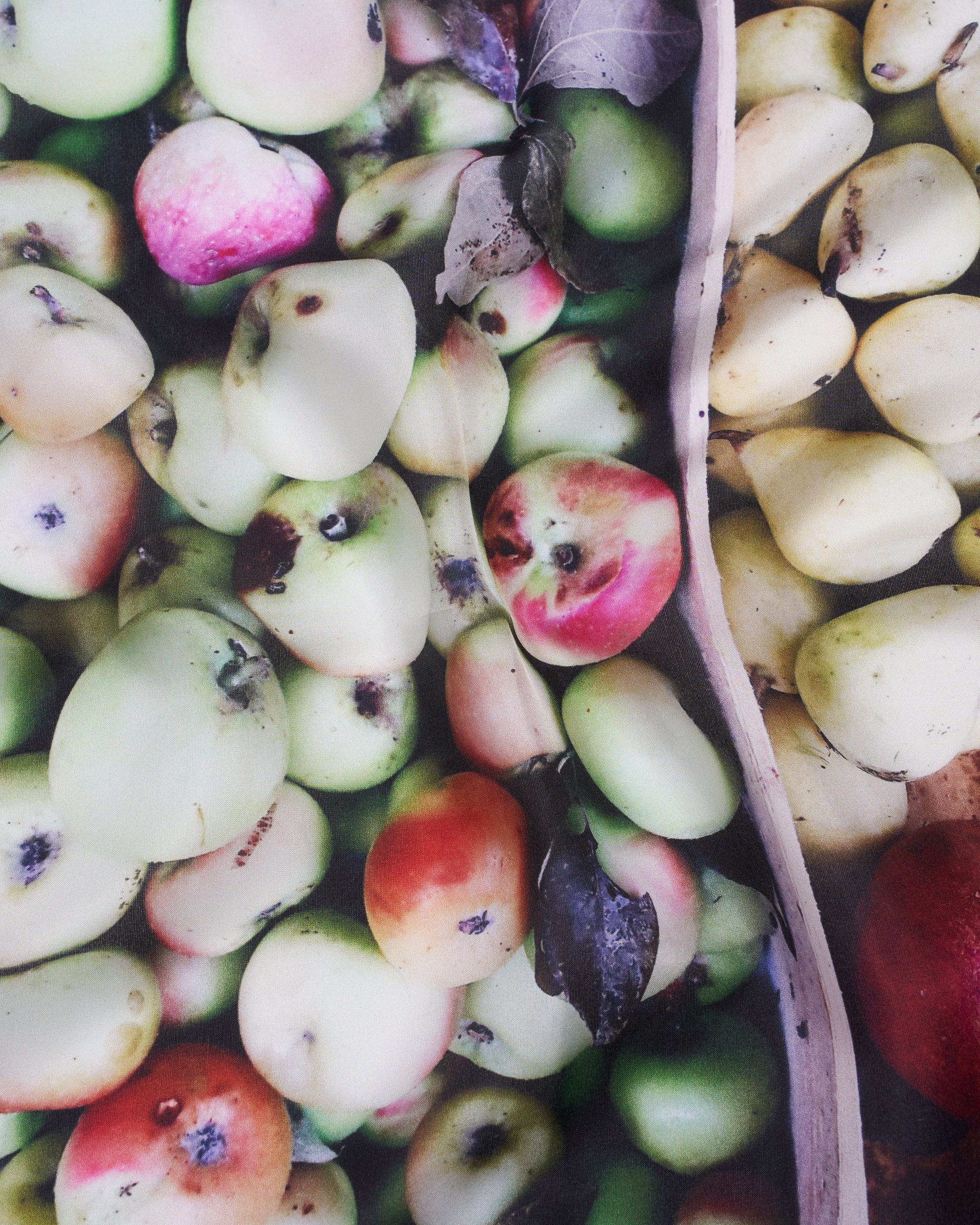 Pocket square - Silk -  Fruits photograph