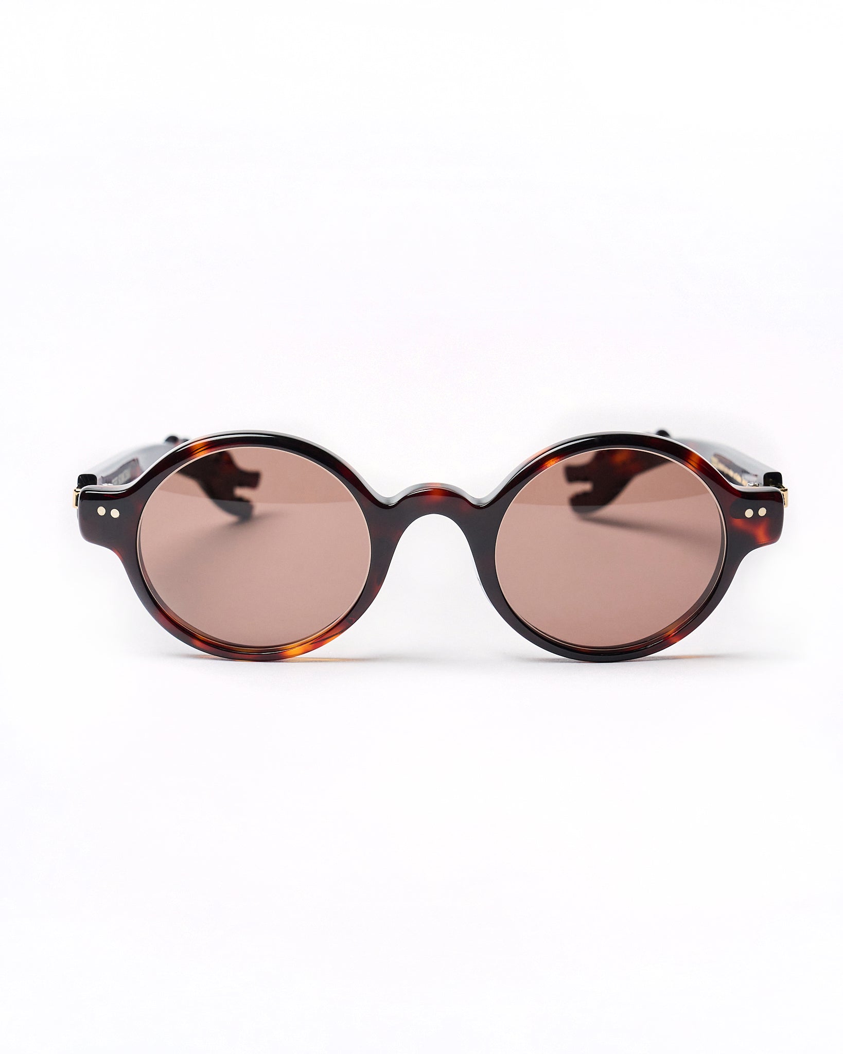 Robin model - Brown tortoise frame - Gold hinge - Brown tortoise dino arm